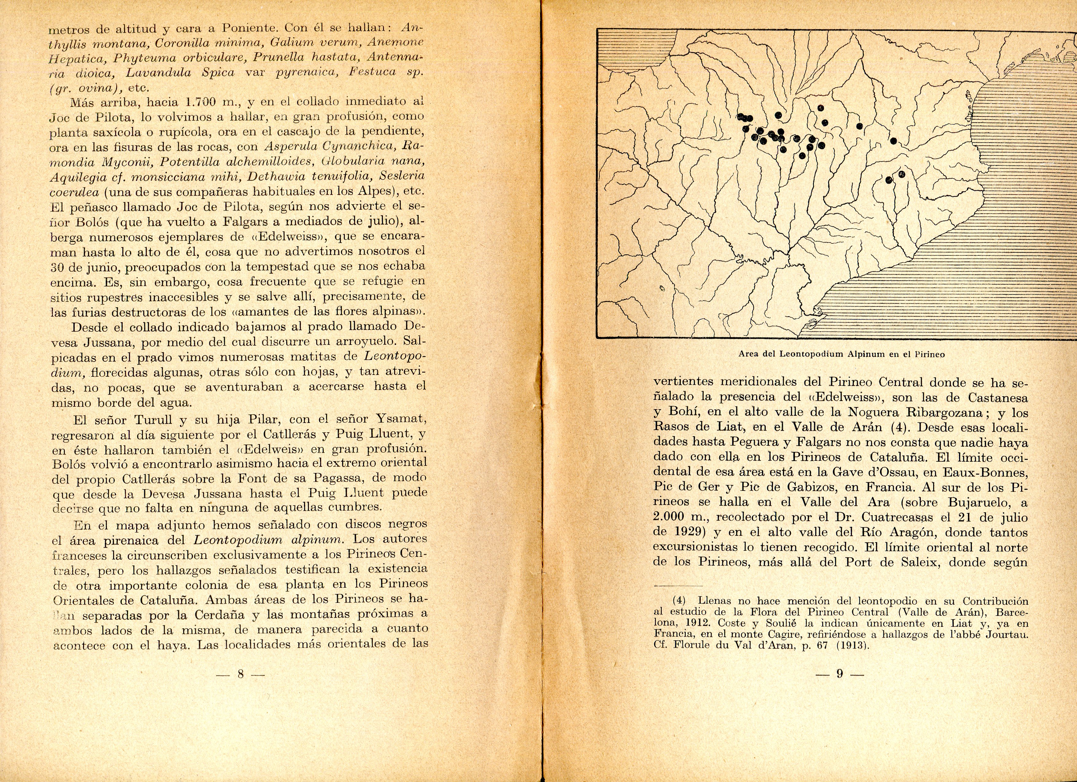 "Edelweiss" en los Pirineo, El - Miniatura 2